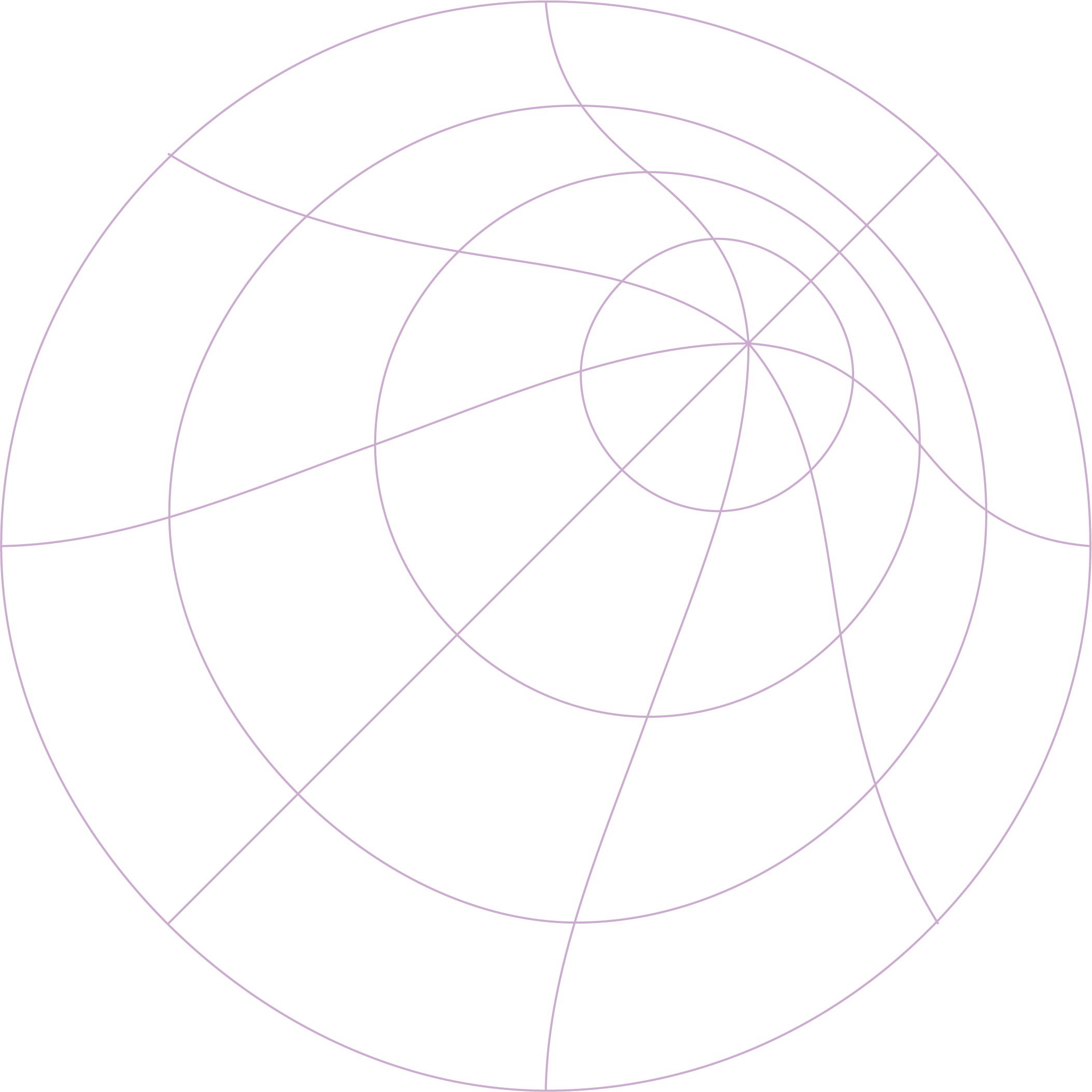 Shape